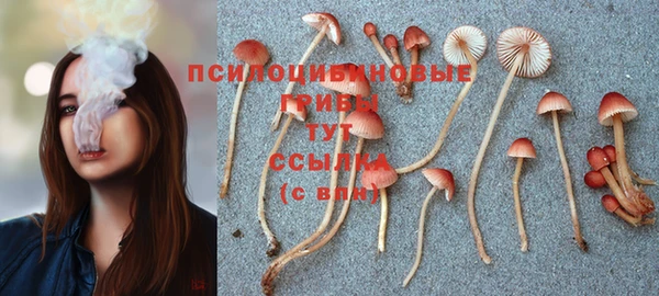 синтетический гашиш Балахна