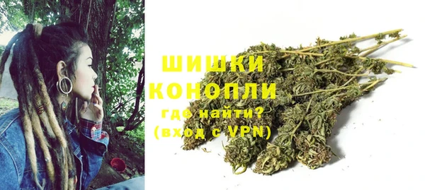 ECSTASY Сосновка