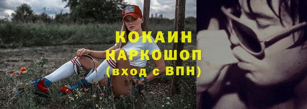 СК Сосновый Бор