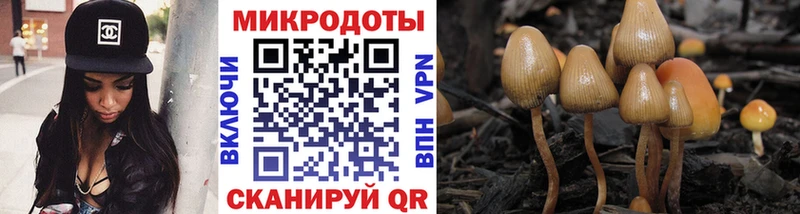 Галлюциногенные грибы GOLDEN TEACHER  Новоалтайск 